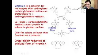 Introduction to Vitamins and Cofactors