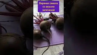 Как сварить свеклу? #shorts