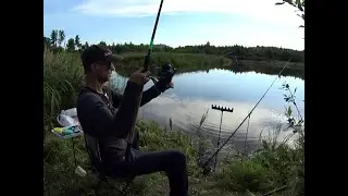 Рибалка на фідер. Ранковий клев на озері білої риби, на опариша.