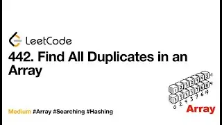 442  Find All Duplicates in an Array | Beginner friendly W/ Thinking Process