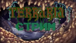 Terraria//Стрим №3
