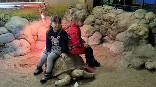 Прогулка с Иришей в Океанариум в Волгограде. Для детей.
