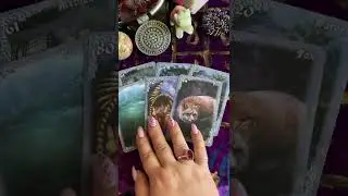 Что у Вас на Пороге?❤️♣️Арина Оракул Исцеления +7(922)2697189 запишись на обучение ТАРО и Ленорман