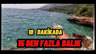 BALIK AVI.ON DAKİKADA ON BEŞ BALIK TUTTUM.KARAGÖZ , BALON , LOKUM VE LAHOZ #lrf #balık #balıkçı [4K]