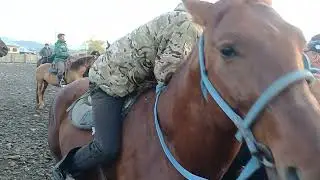 Ат баа болуп жатат Озгон жылкы базары