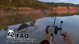 Russian Fishing 4 Simulator #RF4Guide - FAQ Spinnfischen