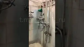 11 декабря 2023 г.