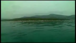 Octopus 2,5
