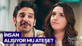 Yeni Bir Sevgi Dili Olarak Kestane... 😍 | Sakla Beni