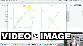 Facebook Video Ads vs Image Ads: What Has A Better ROI