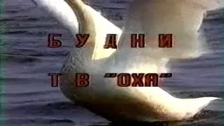 Будни ТВ 