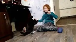 скучно на дистанционке, поэтому играем с котом