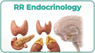 Rapid Revision Internal medicine Endocrinology - Dr Aishwarya