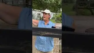 Neighbors ARGUE about property lines and fences