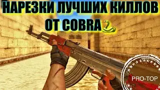 КОБРА В ДЕЛЕ🐍|SFG2 - HIGHLIGHTS🔥