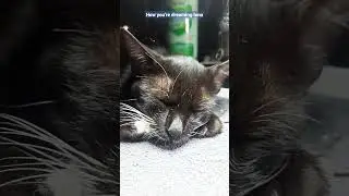 #ivape