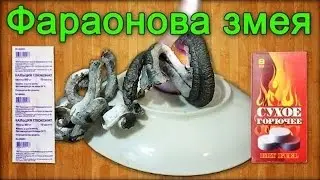 ФАРАОНОВА ЗМЕЯ из глюконата кальция - опыты | PHARAOH's SERPENT of calcium gluconate