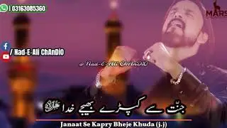 Nabi Ka Nawasa Piyara Hussainع | Irfan Haider Noha Status | #Nad_E_Ali_Official..