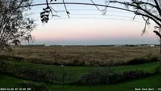Morning 2024-12-20