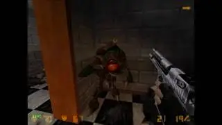 half life, but all weapons are from counter strike