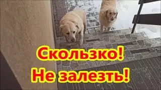 Зимааа....