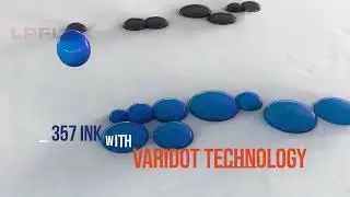 #experienceLPFLEX