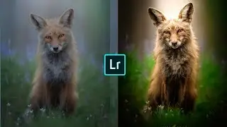 lightroom photo editing tutorial Lightroom moody golden photo editing how to  focus editing