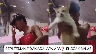 SEPI TEMAN TIDAK ADA APA-APA ❓ ENGGAK BALAS #19