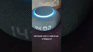 МАРУСЯ МАТЕРИТСЯ?!?! #прикол #пранк #мем #юмор #смех #подпишись #поставьлайк