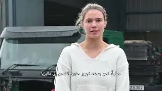 Container Loading | Worldwide Export | Expert Trucks Exporting