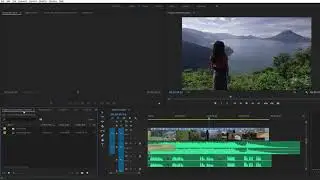 Adobe Premiere - Workspace overview