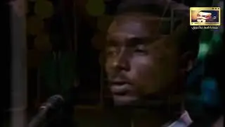 محمود عبد العزيز 