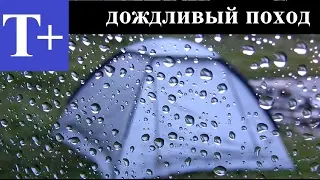 Дождливый поход по болотам