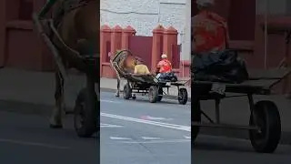 Тем временем где-то в Гомеле. ул. Кирова 