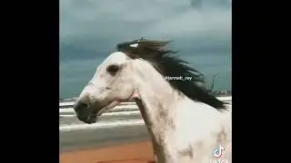 Прежде чем кого-то осуждать задумайтесь 🥹❤️ :