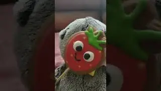 БАСИК КОТ КУКУ / БАСИК ИЗ ТТ 