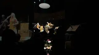 Open My Door - Alice Phoebe Lou LIVE