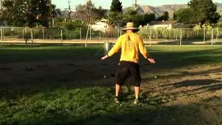 Dog Training Advice for Digging