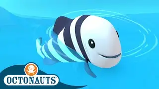 Octonauts - The Helpful Pilot Fish | Full Episode 21 | Cartoons for Kids | Underwater Sea Education