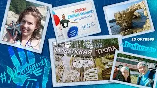 # проПоходТВ - 20.10.2020