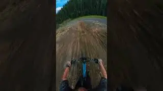 Who would take this line at Whistler Bike Park?