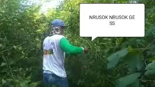 CARI PAKAN KAMBING DI HUTAN   #survival #petualangan