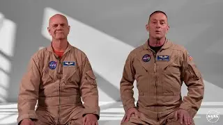 NASA System Wide Safety Project Collaborative Decision Making