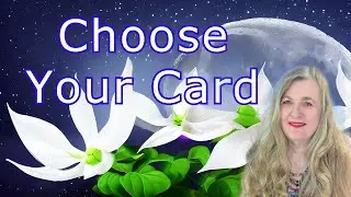 Pick a Card 1 - 5 ⭐ Pick the Vibe for YOUr Week! ✨ Weekly Tarot Reading ⭐ 1 - 5 You're Alive! ✨✨✨