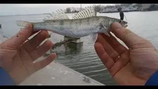 Fishing in Taganrog. Lures from IB in Andreeva Bay.