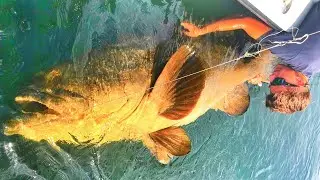 Fishing You Have To See To Believe