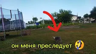 Последний день когда наша семья вместе💞Меня преследуют🤣Приболели🤦‍♀️