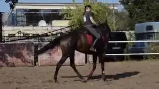 Наш самый сложный элемент - переход с галопа в рысь :)))