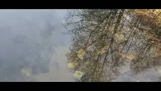озеро  светленькое