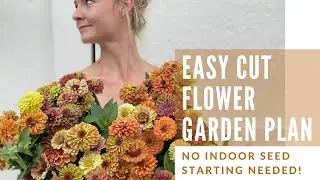 Easy Cut Flower Garden Plan (NO SEED STARTING NEEDED!)